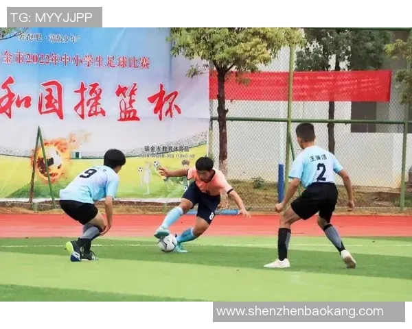 聚焦球迷需求,打造全新互动体验平台助力足球文化发展