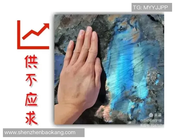 南京排球队逆袭之路揭秘：从默默无闻到城市联赛冠军的奋斗历程